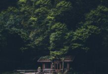 Instagram Hair Ideas to Try: Inspirational Influencers to Follow