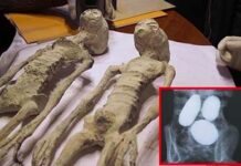 Aumento de la presencia extraterrestre en la tierra