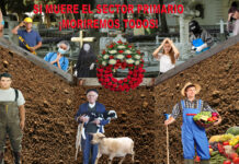 La PAC, El sector primario se muere