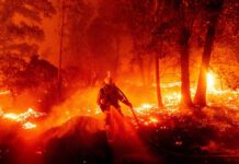 ¿Porqué España bate récor histórico de incendios? Incendios en España