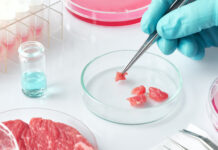 La carne artificial produce mutaciones genéticas Carne sintética