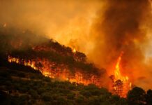 Devastadores incendios en España Incendios en España