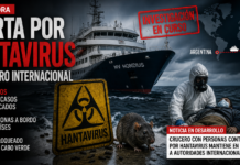¿Cómo protegerse del Hantavirus? Cómo prevenir un contagio con Hantavirus